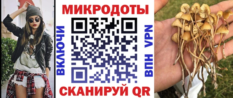 Псилоцибиновые грибы мицелий  Купить  Ужур 